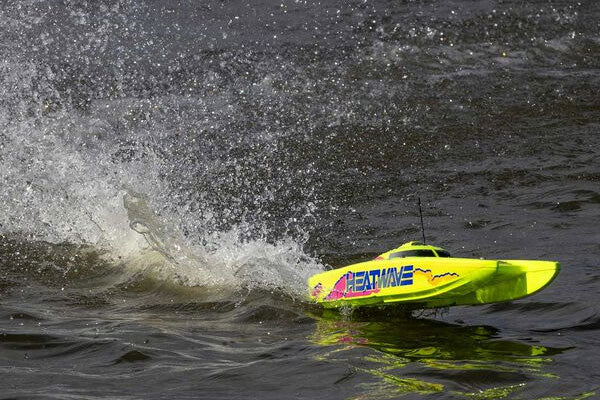 Immagine prodotto 15